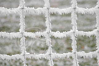 Seasons: Frozen Fence - Hoar Frost