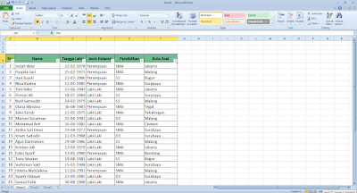 filter data pada excel