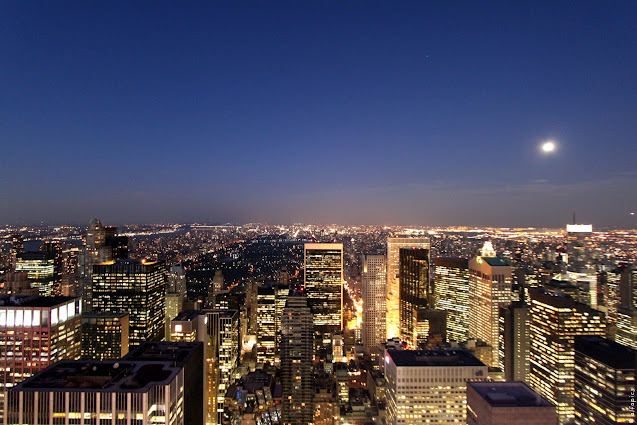 Central park visto dal Top of the Rock-New York