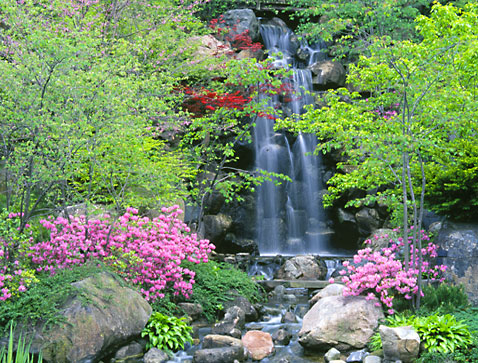 Japanese Garden Design on Japanese Garden  Japanese Gardens