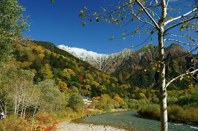 ところどころに見える赤が鮮烈