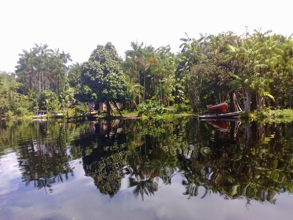 Rio Mapuá, Breves - Parà