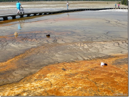 Sept 5, 2012: Hats blown off into the Grand Prismatic Spring surround. It was a windy day