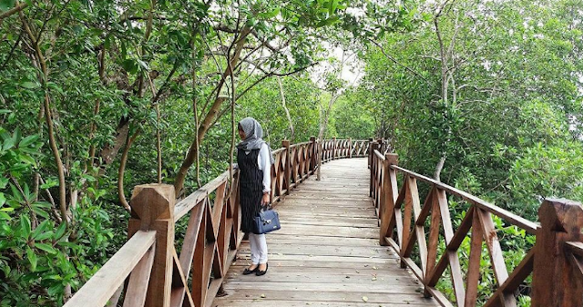 Wisata Hutan Mangrove Nguling- Pasuruan Jawa Timur