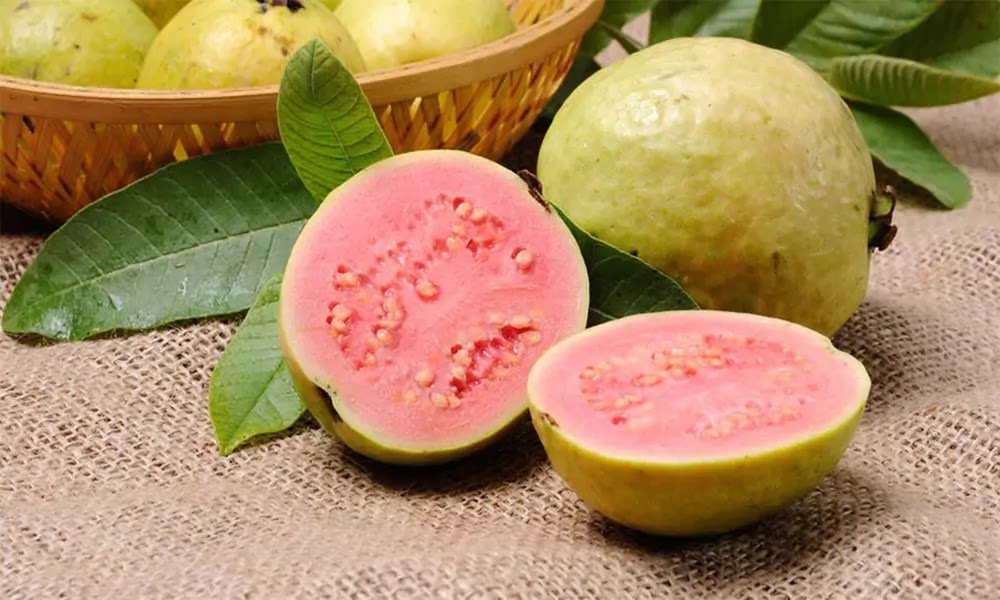 Manfaat Guava atau Jambu Biji Bagi Kesehatan Wanita