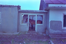 Ma photo