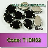 T1DH32 copy