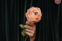 Marian Hill – Unusual – Album