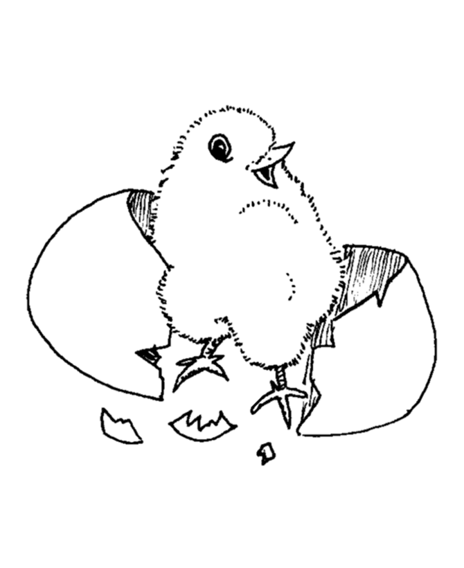 Free Baby Animal Coloring Pages & Printables LeapFrog