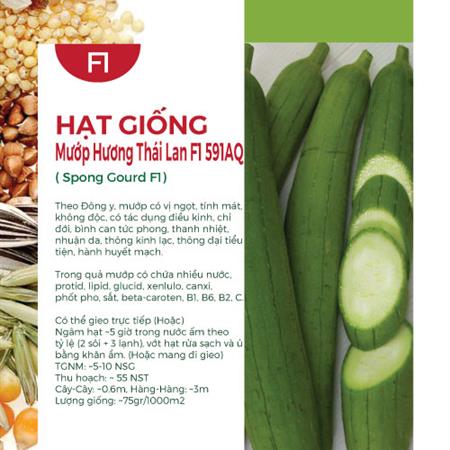 Hạt giống Mướp hương Thái Lan F1 591AQ