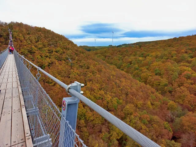 View of beautiful autumn colours from the Geierlay Bridge