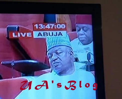 EXTRA: N13.5m as sleeping allowance? Behold, our federal lawmakers