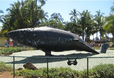 Kalama Park Whale and Olga, the Traveling Bra