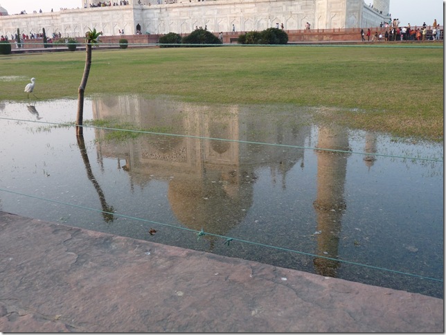 2008.12_india_1346