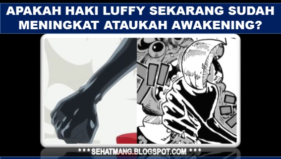 Apakah Haki Luffy Sekarang Sudah Meningkat ataukah Awakening?