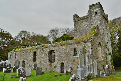 Kilfane Long Man - Cantwell Fada