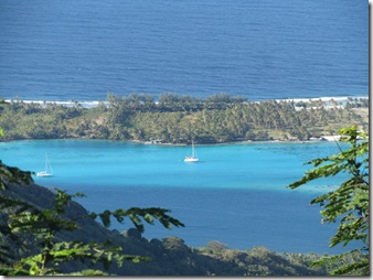 rehuahine 020