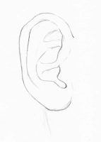 Outline of an ear