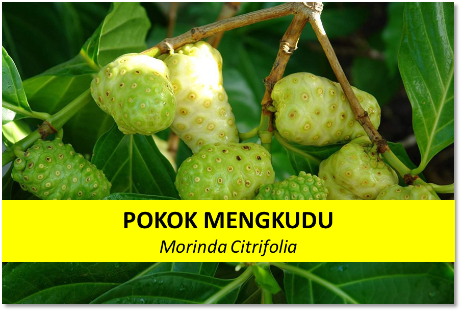 AzBudi Pusat Pakar Perubatan Homeopati & Naturopati