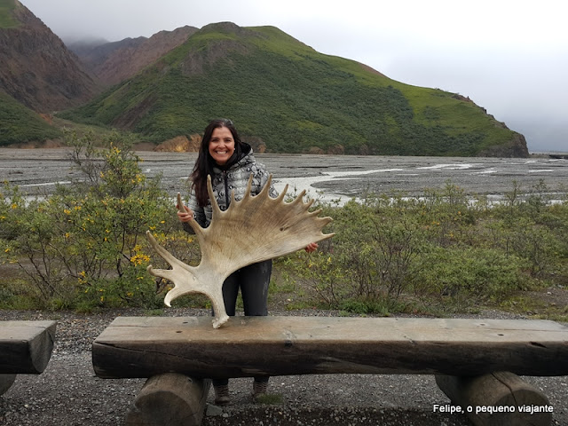 Toklat River Rest Stop