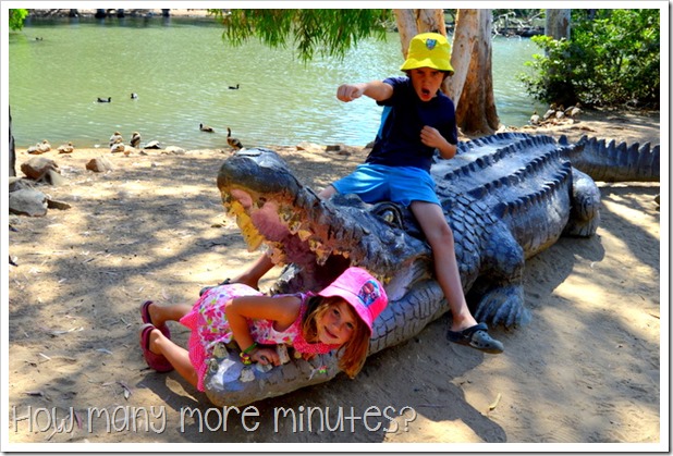Billabong Sanctuary | How Many More Minutes?