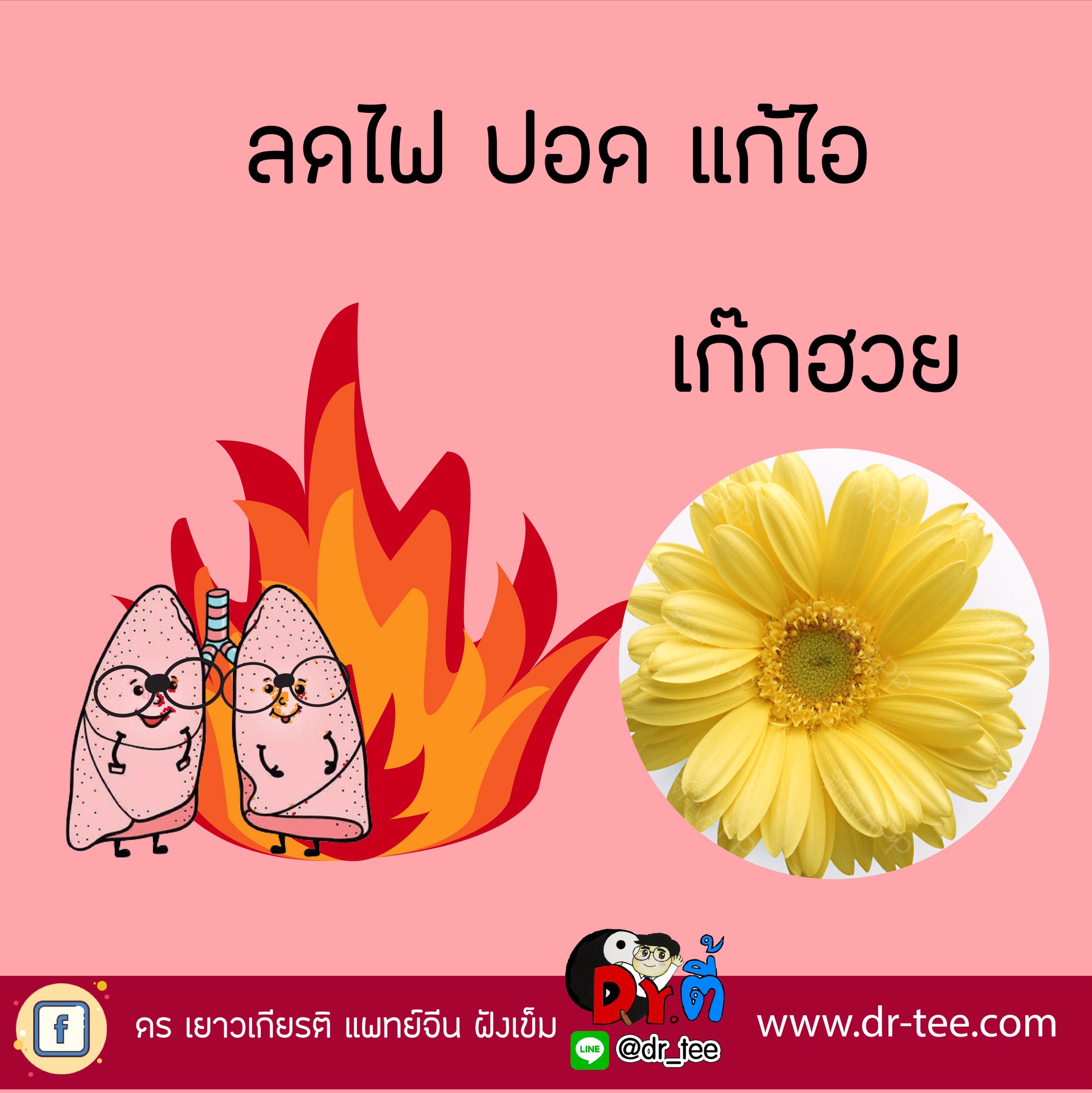 ลดร้อนใน ในร่างกาย