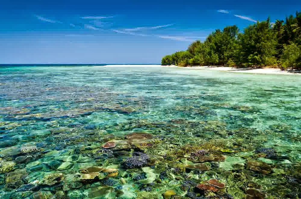 Pulau Cemara Besaradalah surga yang nyaris hilang dan terlupakan. Air 