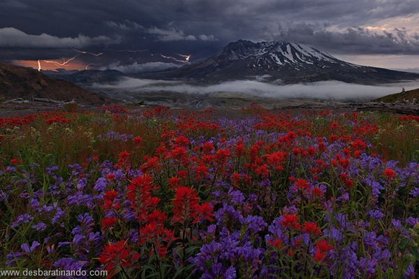 landscapes-paisagens-desbaratinando (31)