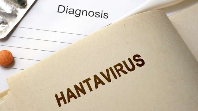 Man dies from hantavirus in China, Yunnan: All you need to know about the virus, and how it spreads