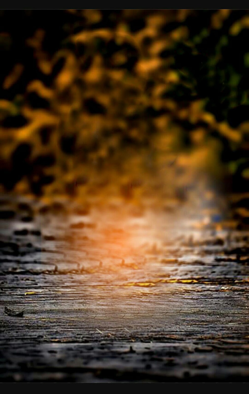 Download 470 Background Hd Blur Images HD Gratis - Download Background