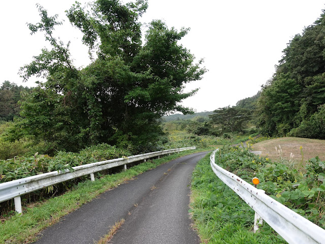 佐陀川沿いの道を降ります