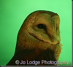 IMG_7578