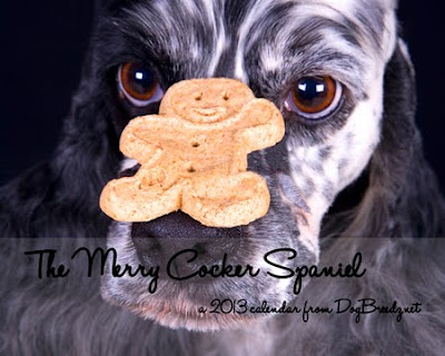 2013 Merry Cocker Spaniel wall Calendar from DogBreedz.net