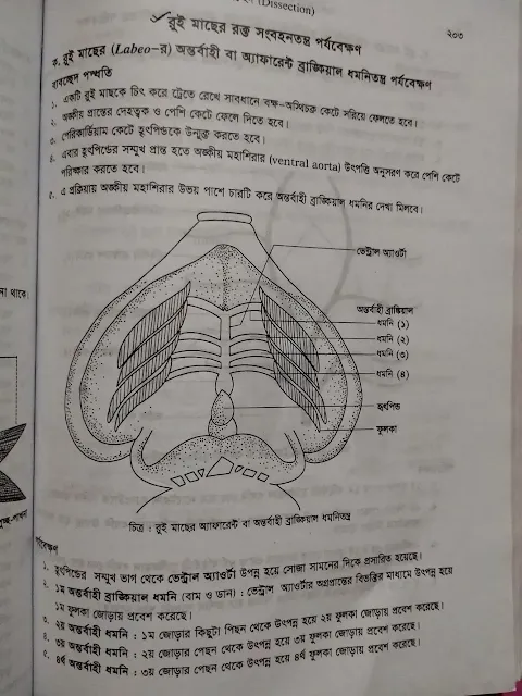 HSC Biology 2nd practical khata, HSC Biology 2nd paper Practical Book PDF, Biology 2nd paper practical HSC 2024 PDF download, HSC biology 2nd Paper Practical book PDF, Hsc biology 2nd practical book pdf bangla, Biology 2nd practical book hsc gazi ajmal pdf download, HSC Biology 2nd Paper practical book PDF, Biology practical HSC 2024, HSC Biology Practical Book PDF, Biology 2nd paper practical hsc 2024