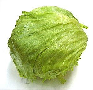 Iceberg lettuce safe