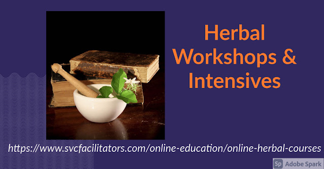 Herbal Workshops & Intensives