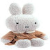 How To Clean Stuffed Toys