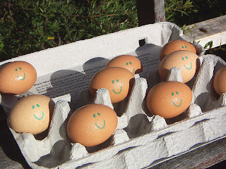 Photo by Deirdre: the smiley eggs are all sitting up in the carton and facing the sun