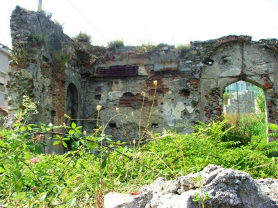 DSCF6084