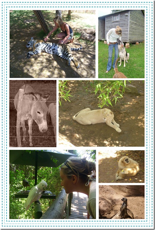 Wildlife