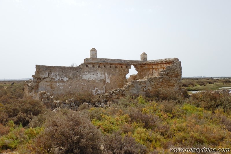 La Magdalena - Caño del Carrascón - Gallineras - Caño de Sancti Petri