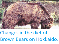 http://sciencythoughts.blogspot.co.uk/2015/03/changes-in-diet-of-brown-bears-on.html