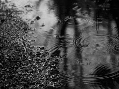 Rain Photography -HD Desktop Wallpaper-05