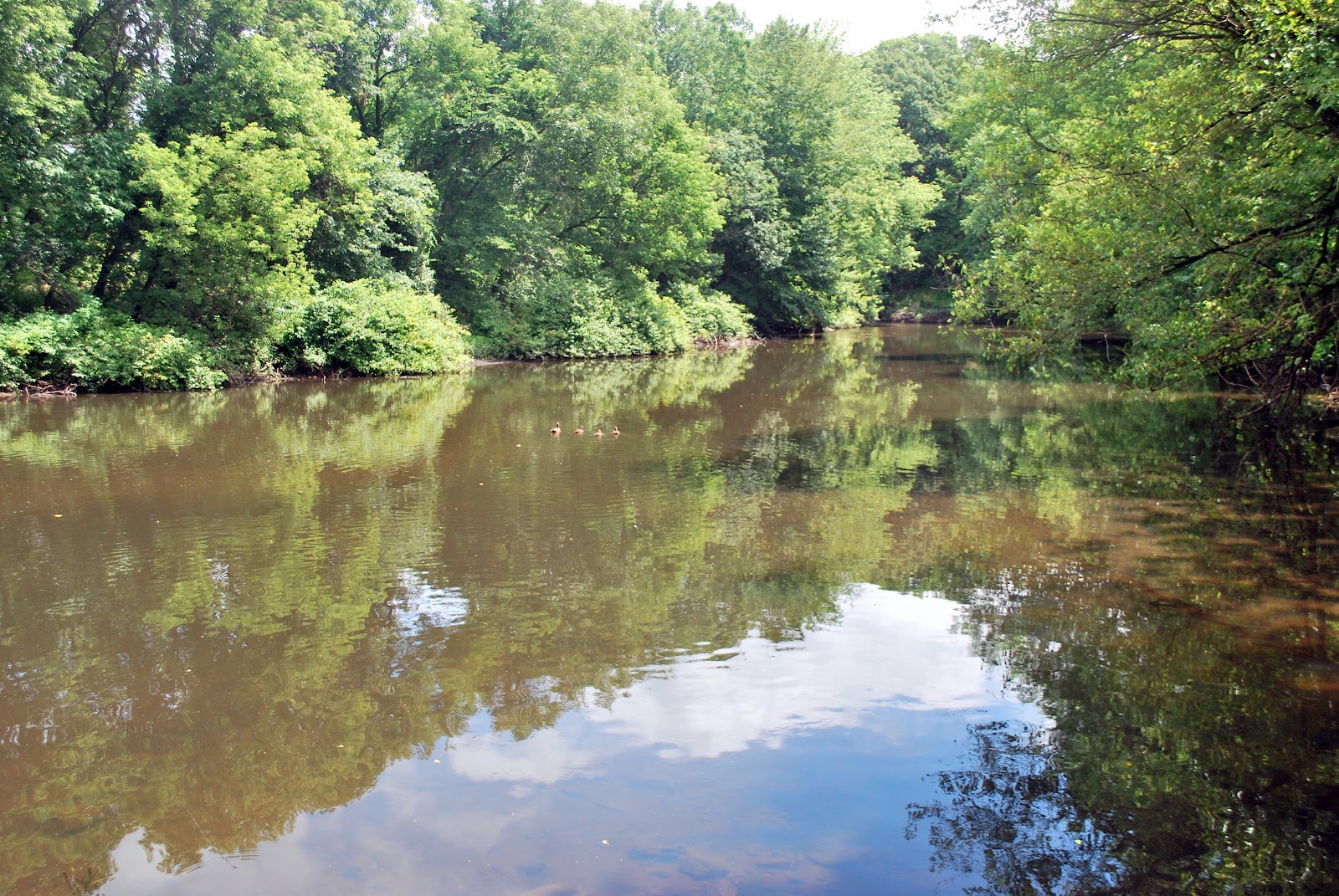 Litton's Fishing Lines: Rockaway River and Peapack Brook Fishing to Explore  or Exploring to Fish