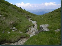 DSCN3501