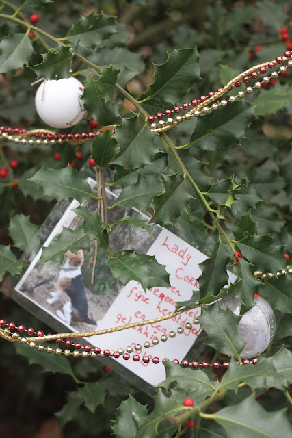 Hulstwensboom, Bennekomse Bos, december 2018; foto: Robert van der Kroft