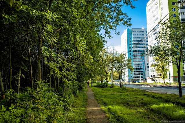 Заросли наступают на город