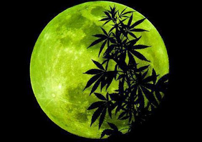 marihuana a la luz de la luna