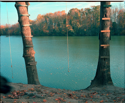 rope swing