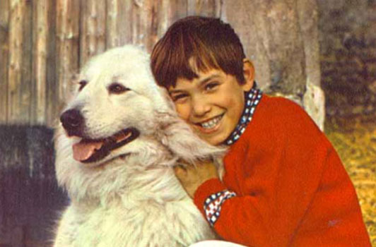 Le chien star du film “Belle et Sébastien” est de retour chez lui à Lunel 
